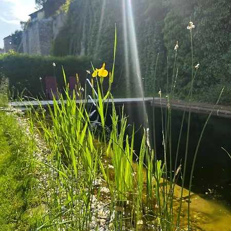 Zum Goldenen Anker 3*