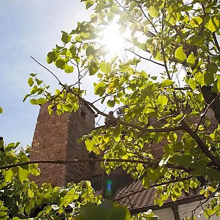 Zum Goldenen Anker فندق 3*