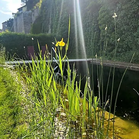 Zum Goldenen Anker هاينبرغ آن دير دوناو