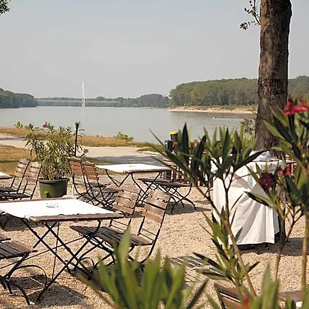 Zum Goldenen Anker فندق