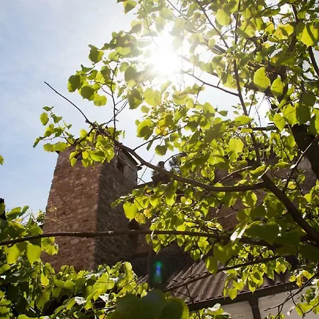 Отель Zum Goldenen Anker