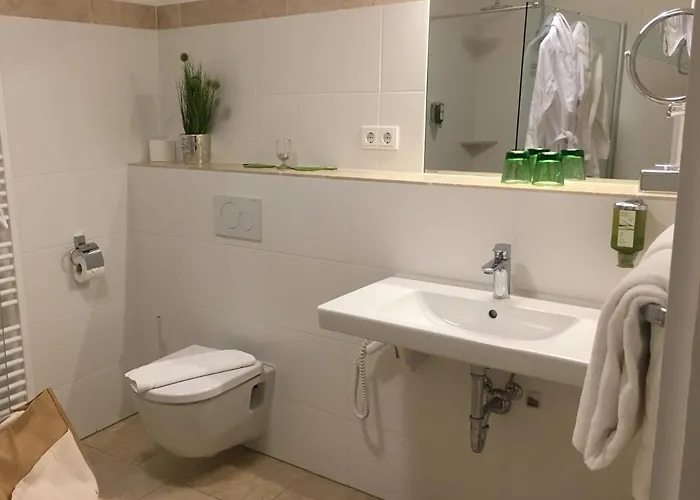 ホテル Zum Goldenen Anker 3*