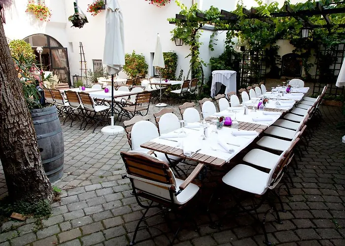 Zum Goldenen Anker היינבורג אן דר דונאו