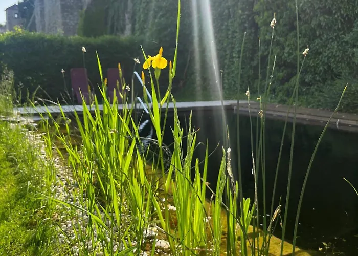 Zum Goldenen Anker 3*