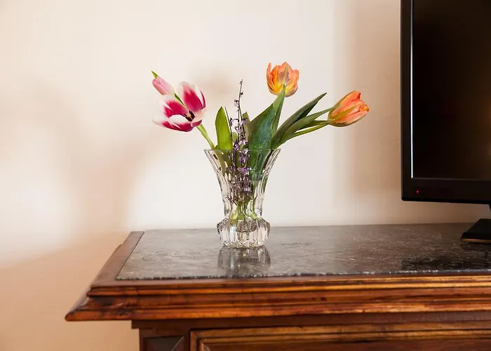 Zum Goldenen Anker מלון 3*