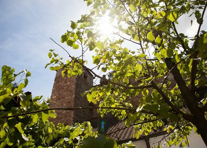 מלון Zum Goldenen Anker